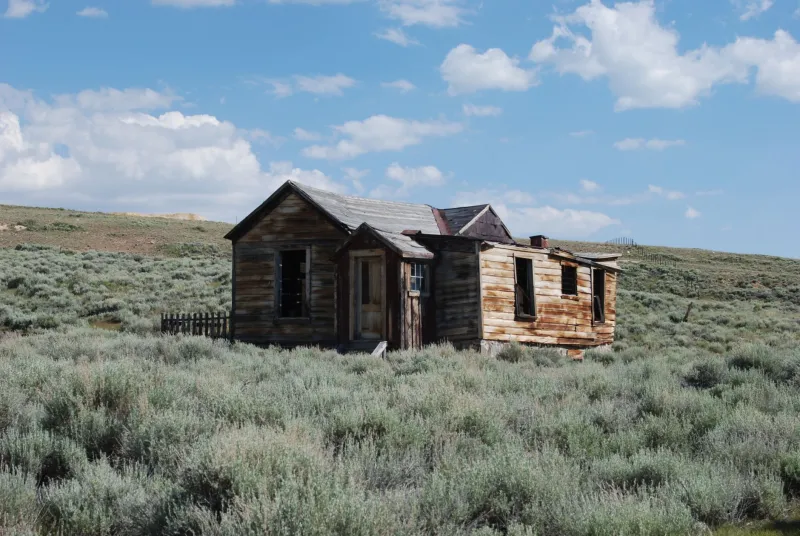 Everybody Was Selling the Dream: How Frontier Land Promoters Turned Buyers Into the Product