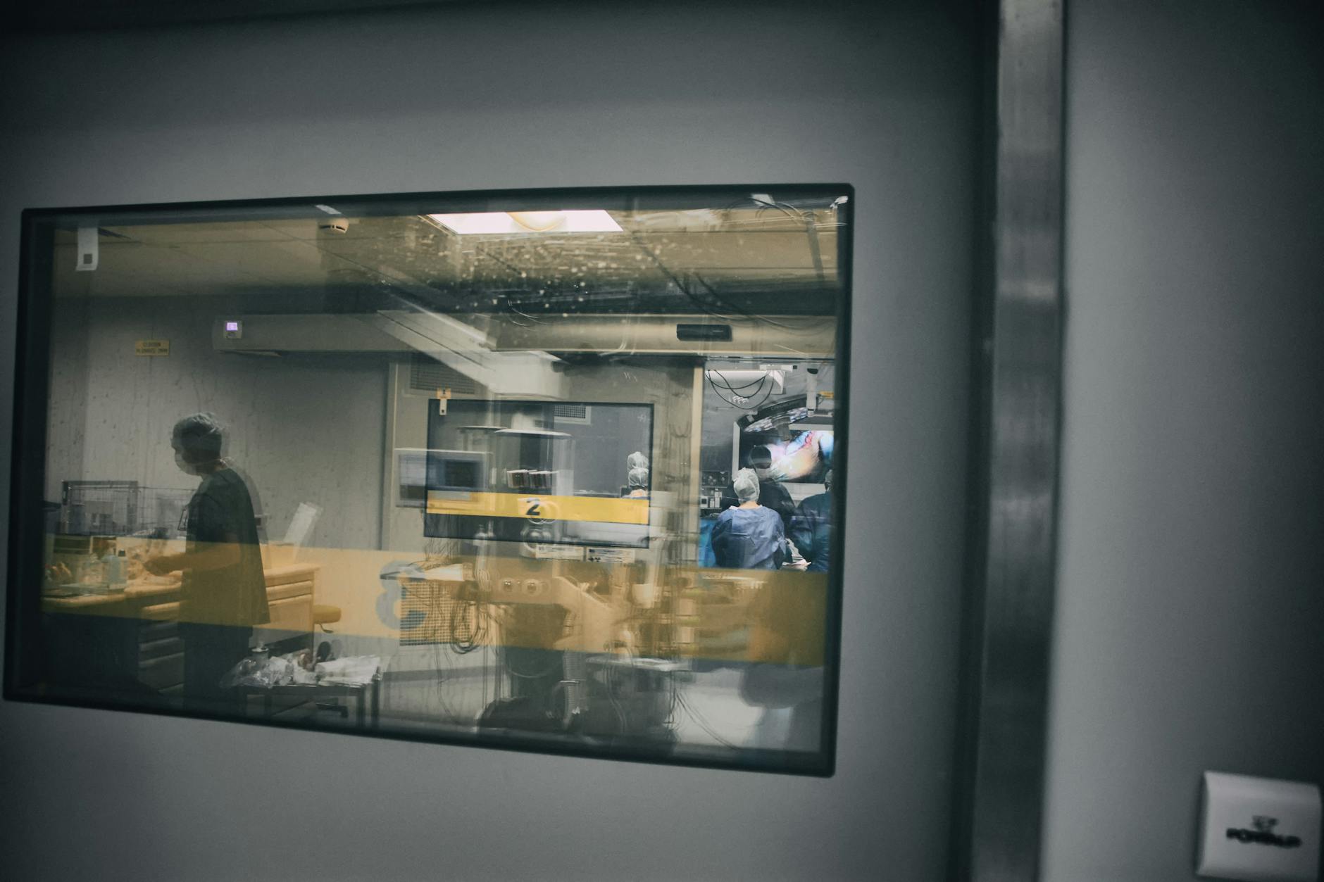 When the Data Was Right and the Experts Were Wrong: The Enduring Logic of Professional Self-Defense