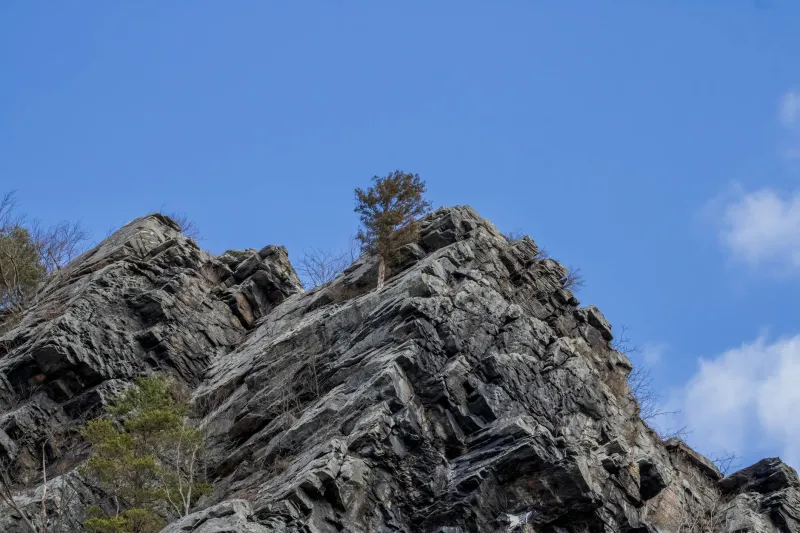 Before Auto-Renewal: How Victorian Publishers Mastered the Art of Making Customers Stay